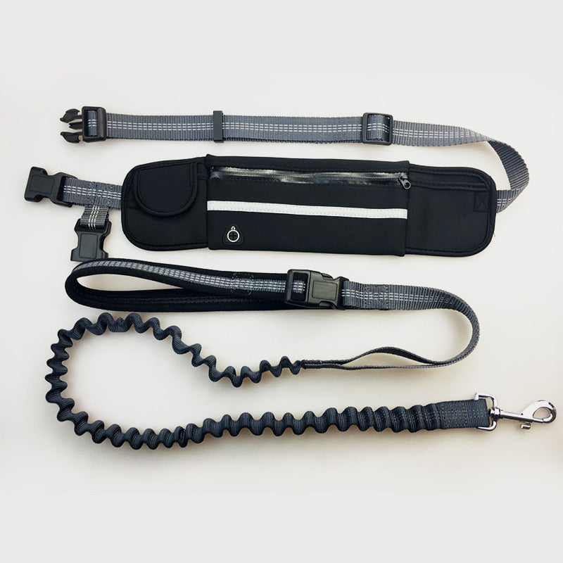 UrbanVibe™ Handsfree Bungee Dog Leash