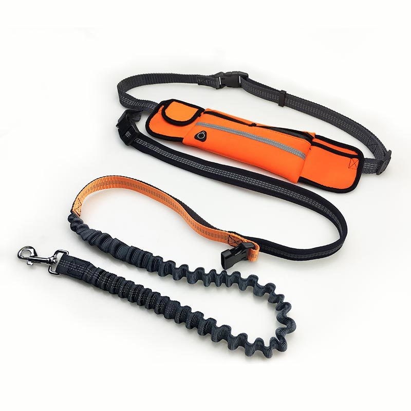 UrbanVibe™ Handsfree Bungee Dog Leash