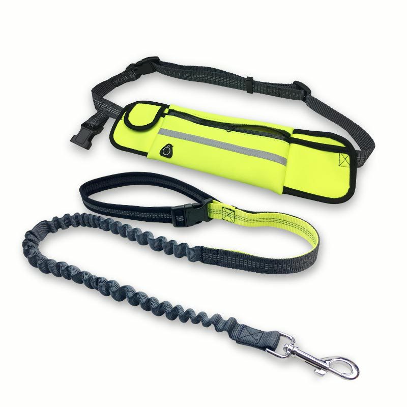 UrbanVibe™ Handsfree Bungee Dog Leash