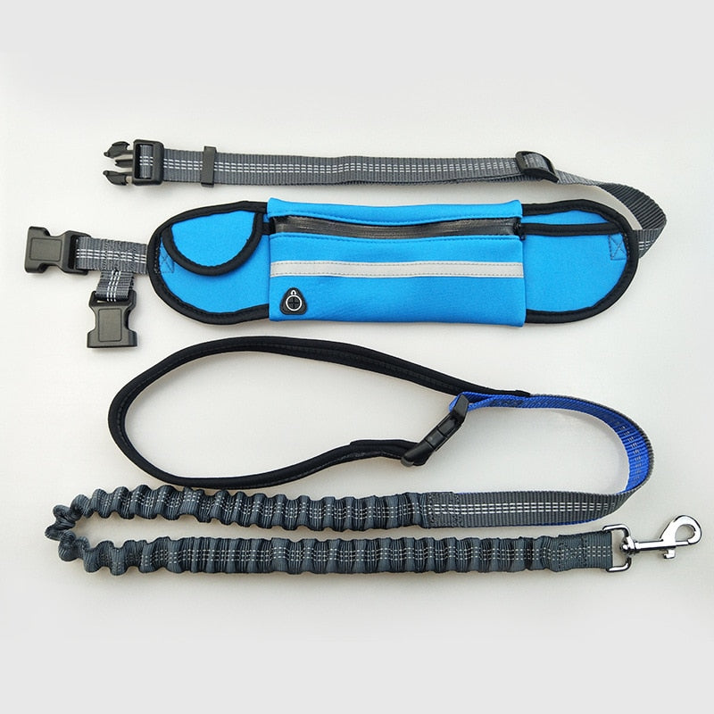 UrbanVibe™ Handsfree Bungee Dog Leash