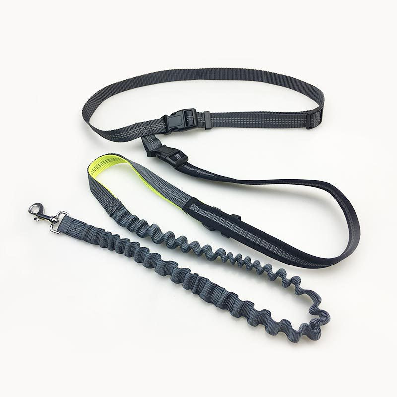 UrbanVibe™ Handsfree Bungee Dog Leash
