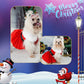 Dog Santa Claus outfit