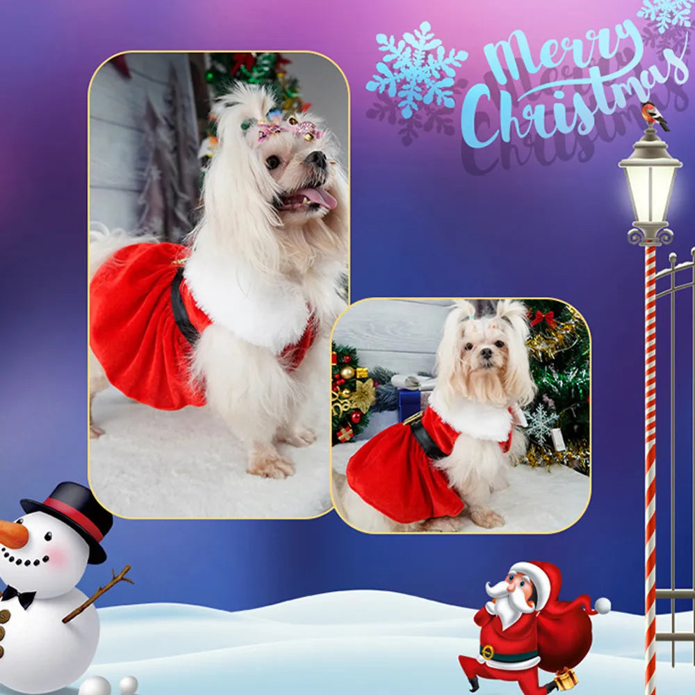 Dog Santa Claus outfit