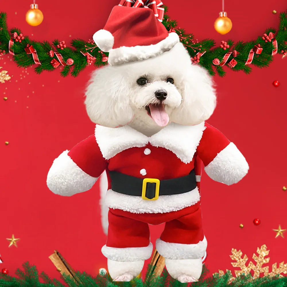 Dog Santa Claus outfit