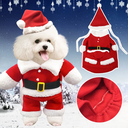 Dog Santa Claus outfit