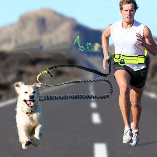 UrbanVibe™ Handsfree Bungee Dog Leash